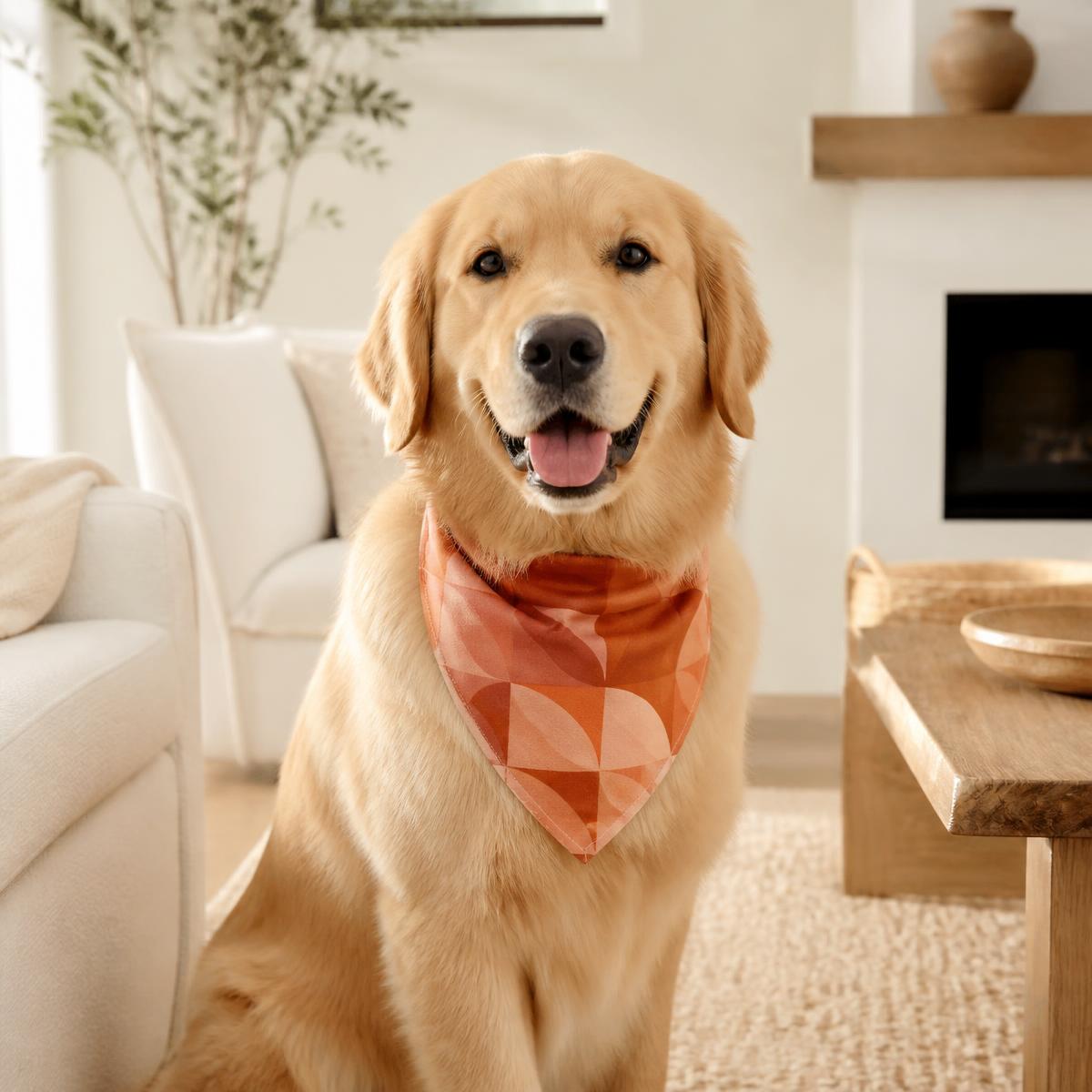 Golden retriever wearing a custom designed bandana